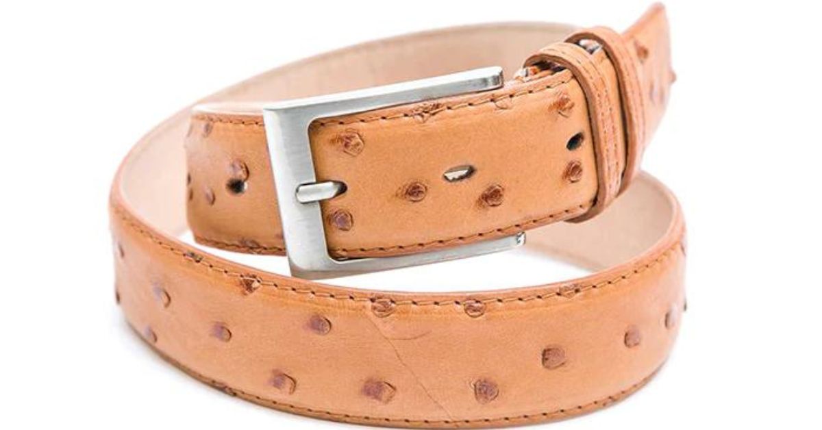 Ostrich leather belt hotsell