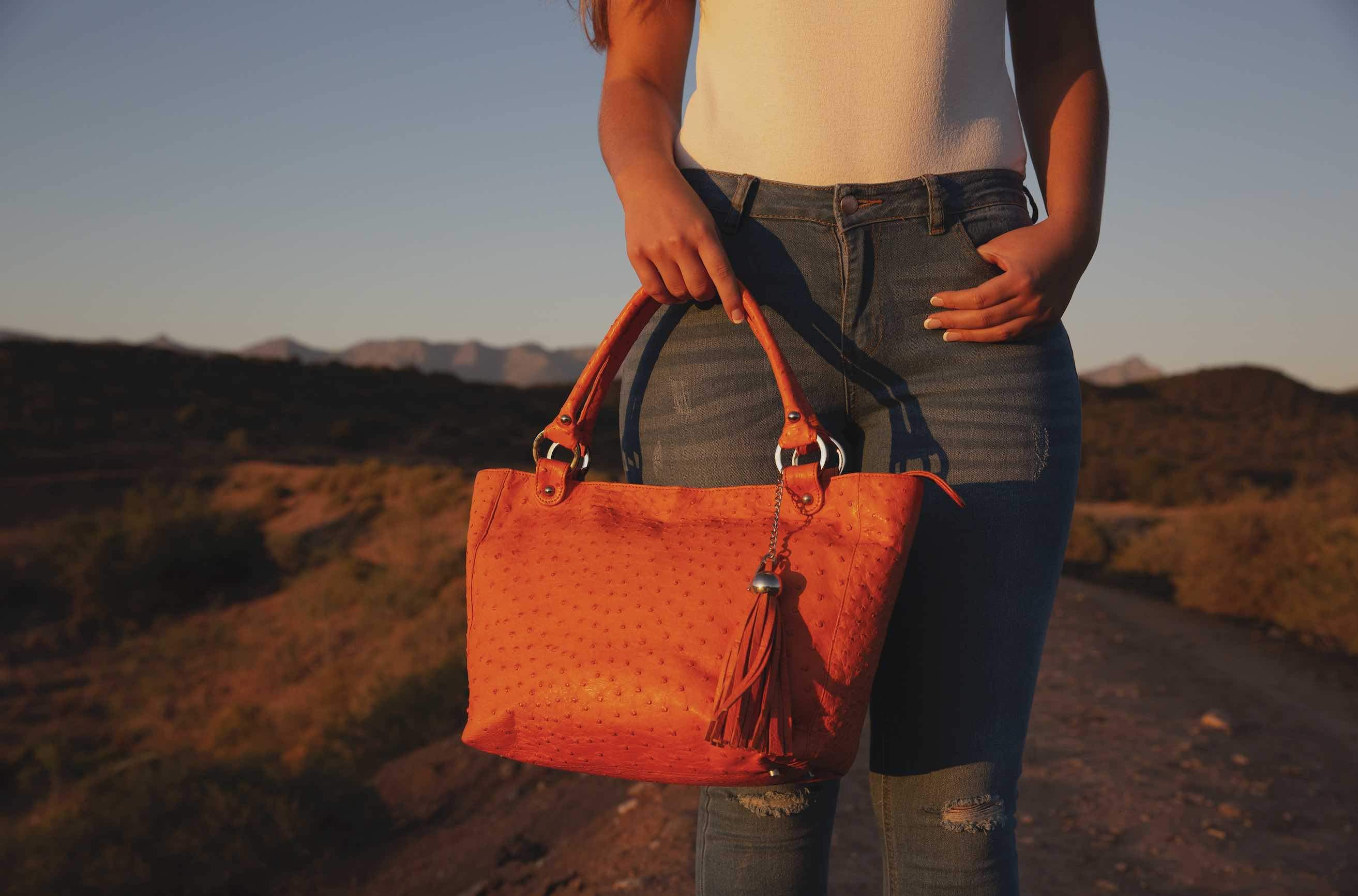 Ostrich purses online handbags