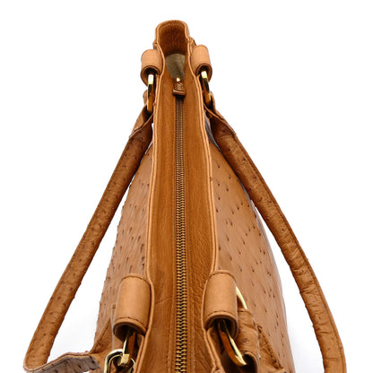 Karoo Ostrich Leather Tote Handbag - Ostrich Leather Bag